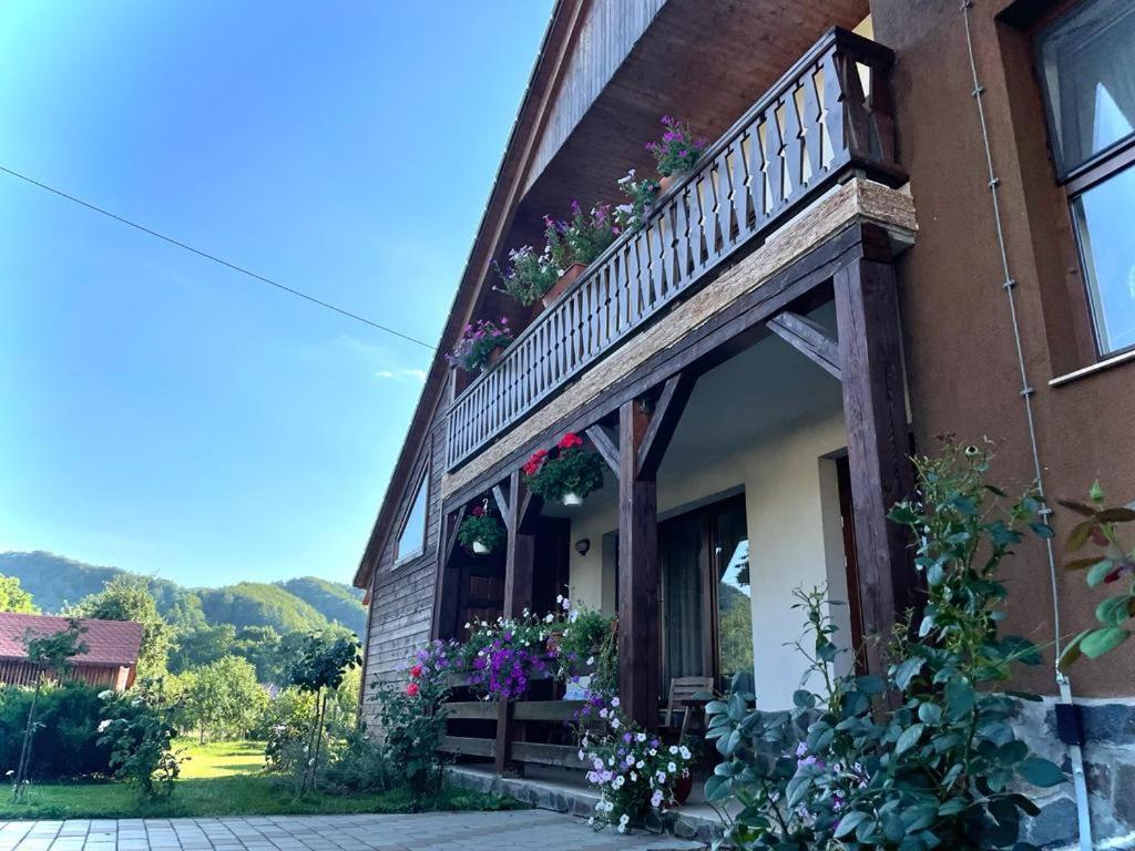 Pensiunea Rares Bistrita Bargaului Bagian luar foto