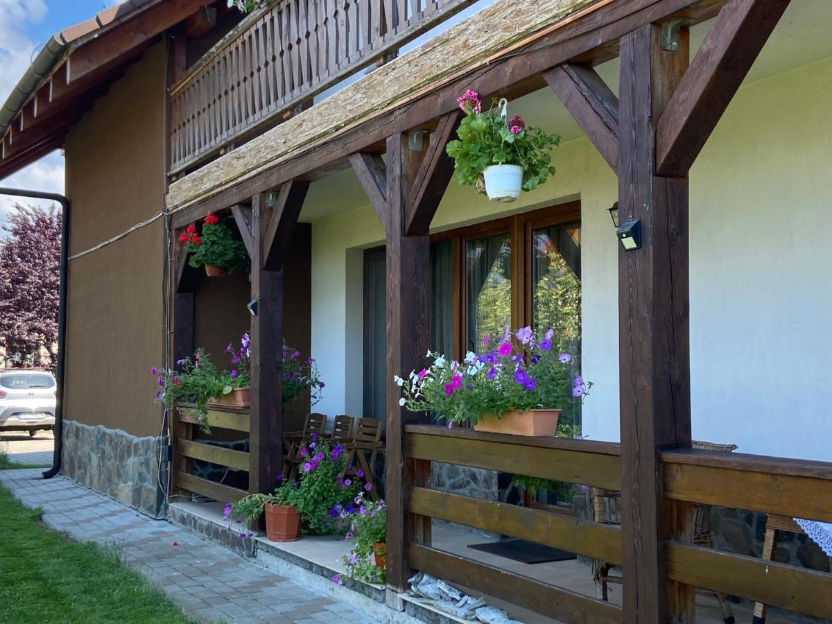 Pensiunea Rares Bistrita Bargaului Bagian luar foto